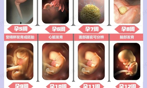 怀孕三个多月感觉肚子一跳一跳的-怀孕快3个月肚子抽动网-分享怀孕3个月肚子抽筋似的疼，怀孕三个月肚子像抽筋怎么回事知识库